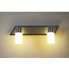 Trio CLAPTON Muurlamp LED Aluminium, Chroom, roestvrij staal, 2-lichts