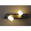 Trio CLAPTON Muurlamp LED Aluminium, Chroom, roestvrij staal, 2-lichts