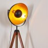 Jupiter Staande lamp Bruin, Hout donker, Zwart, 1-licht