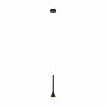 Eglo CORTADERAS Hanger Goud, Zwart, 1-licht