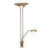 Steinhauer MEXLITE Staande lamp LED Brons, 2-lichts