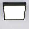 Kragos Plafondlamp LED Zwart, Wit, 1-licht