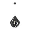 Eglo CARLTON Hanger Zwart, Zilver, 1-licht