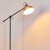 Luven Staande lamp Grijs, 1-licht