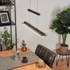 Junsele Hanglamp LED Zwart, 1-licht