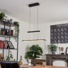 Junsele Hanglamp LED Zwart, 1-licht