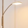 Thyolo Uplighter LED Staal geborsteld, 2-lichts