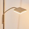 Thyolo Uplighter LED Staal geborsteld, 2-lichts