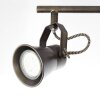 Brilliant Seed Spotlamp Hout donker, Zwart, 4-lichts