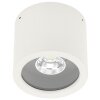 Albert 2319 Plafond opbouw verlichting LED Wit, 1-licht