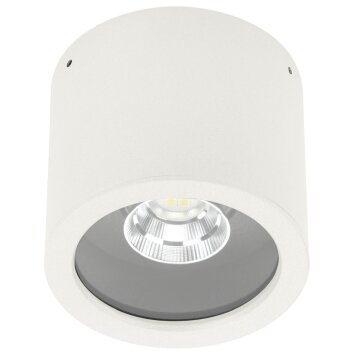 Albert 2319 Plafond opbouw verlichting LED Wit, 1-licht