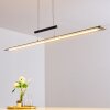 Junsele Hanglamp LED Zwart, 1-licht