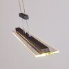 Junsele Hanglamp LED Zwart, 1-licht