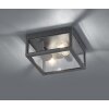 Trio GARONNE Buitenshuis plafond verlichting Antraciet, 2-lichts