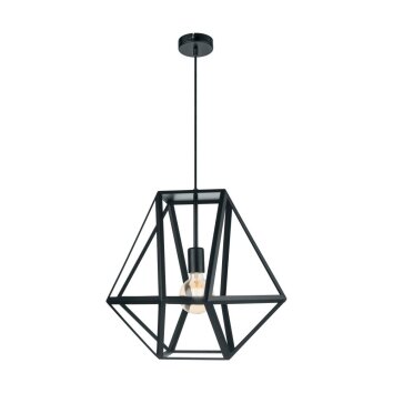 Eglo EMBLETON Hanger Zwart, 1-licht