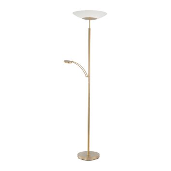 Paul Neuhaus ALFRED Staande lamp LED Messing, 1-licht