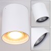 Awuna Plafondlamp Wit, 1-licht