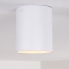 Awuna Plafondlamp Wit, 1-licht