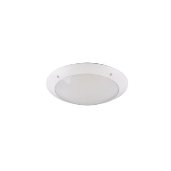 Reality CAMARO Buitenshuis plafond verlichting Wit, 2-lichts