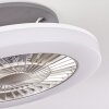 Somalia plafondventilator LED Zilver, Transparant, Helder, 1-licht