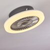 Somalia plafondventilator LED Zilver, Transparant, Helder, 1-licht