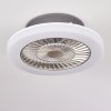 Somalia plafondventilator LED Zilver, Transparant, Helder, 1-licht