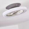 Somalia plafondventilator LED Zilver, Transparant, Helder, 1-licht