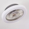 Somalia plafondventilator LED Zilver, Transparant, Helder, 1-licht