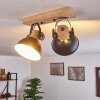 Orny Plafondlamp Antraciet, Hout licht, 2-lichts