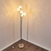 Bernado Staande lamp Nikkel mat, 5-lichts