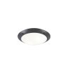 Reality CAMARO Buitenshuis plafond verlichting Antraciet, 2-lichts