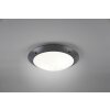 Reality CAMARO Buitenshuis plafond verlichting Antraciet, 2-lichts