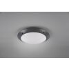 Reality CAMARO Buitenshuis plafond verlichting Antraciet, 2-lichts