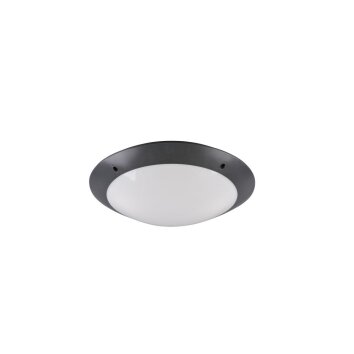 Reality CAMARO Buitenshuis plafond verlichting Antraciet, 2-lichts