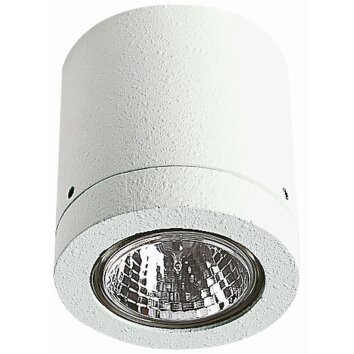 Albert 2140 Plafond opbouw verlichting Wit, 1-licht