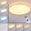 Genthin Plafondlamp LED Wit, 1-licht, Afstandsbediening