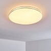 Genthin Plafondlamp LED Wit, 1-licht, Afstandsbediening