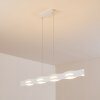 Nagold Hanglamp LED Wit, 1-licht