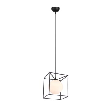 Reality GABBIA Hanglamp Zwart, 1-licht