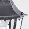 Gilze Buitenhanglamp Zwart, 1-licht