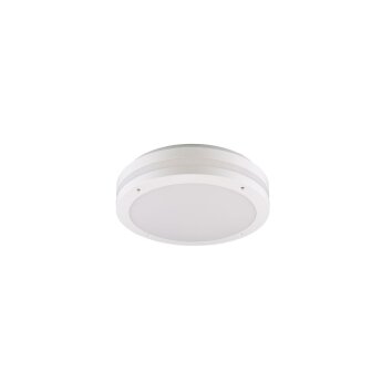 Reality KENDAL Buitenshuis plafond verlichting LED Wit, 1-licht