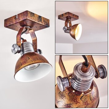 Gudo Plafondlamp Bruin, Brons, 1-licht