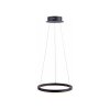 Paul Neuhaus TITUS Hanglamp LED Antraciet, 1-licht