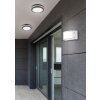 Reality KENDAL Buitenshuis plafond verlichting LED Antraciet, 1-licht