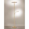 Paul Neuhaus ARTUR Staande lamp LED Messing, 1-licht