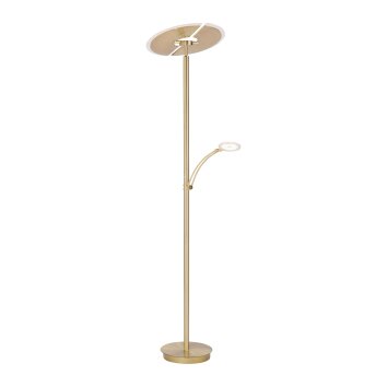 Paul Neuhaus ARTUR Staande lamp LED Messing, 1-licht