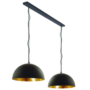 Steinhauer Semicirkel Hanglamp Zwart, 2-lichts