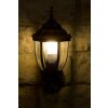 Rabalux Nizza Buiten muurverlichting Goud, Messing, Transparant, Helder