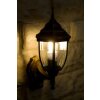 Rabalux Nizza Buiten muurverlichting Goud, Messing, Transparant, Helder