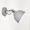 Dompierre Muurlamp Grijs, Wit, 1-licht